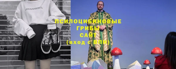 экстази Михайлов