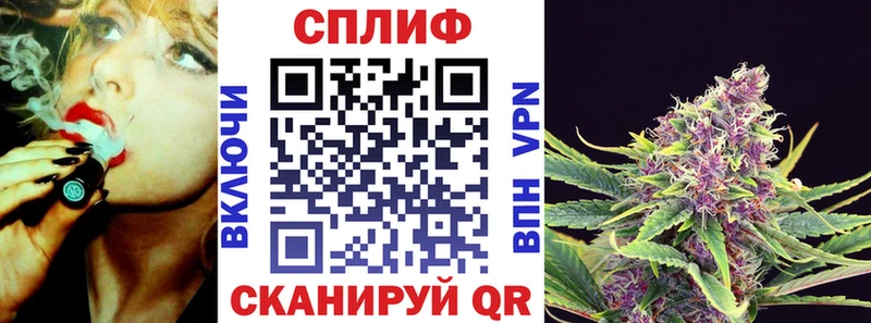 Бошки Шишки White Widow Шумиха